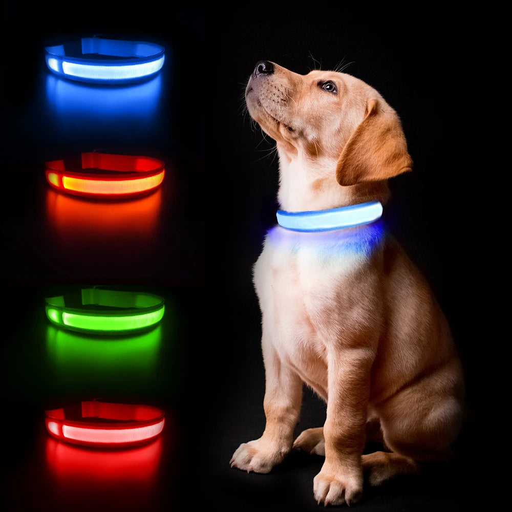 Dog Collar Luminous Waterproof Safety