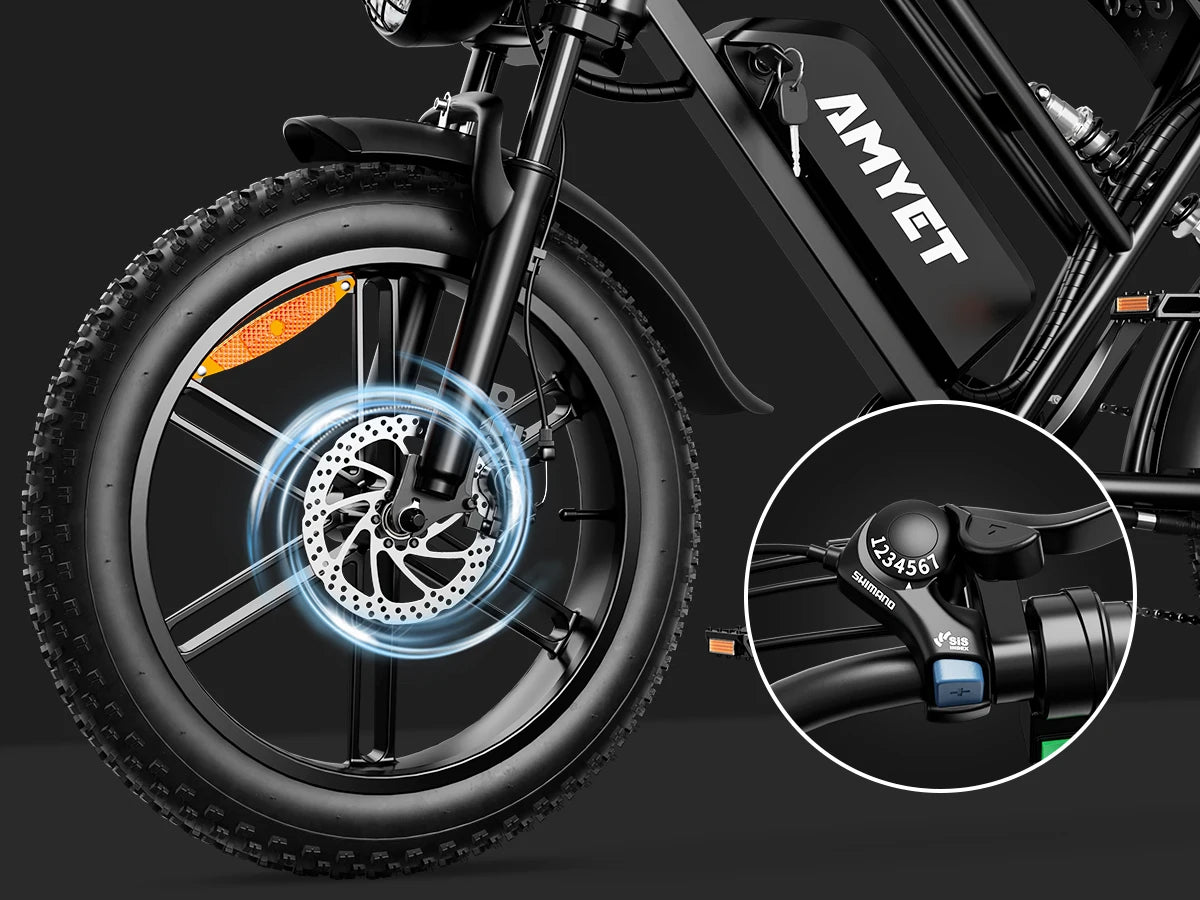 Electric Bike 1000W Motor Bicycle 48V 20AH 20 Inch Tire Mountain Moped