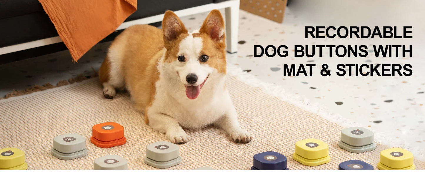 Dog Button Record Talking Pet Communication Vocal Training Interactive