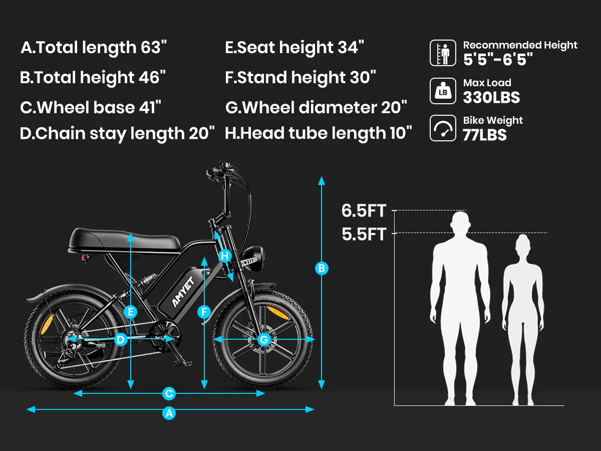 Electric Bike 1000W Motor Bicycle 48V 20AH 20 Inch Tire Mountain Moped