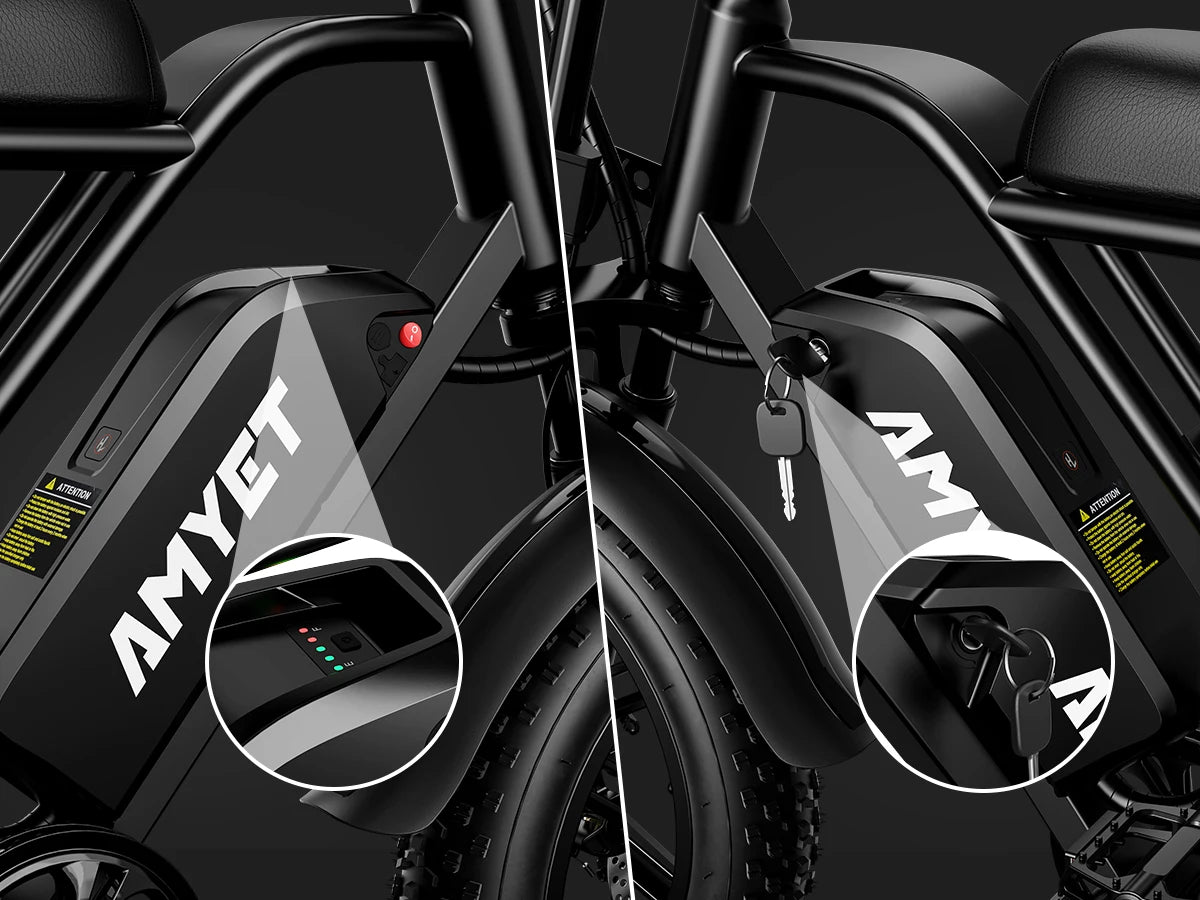 Electric Bike 1000W Motor Bicycle 48V 20AH 20 Inch Tire Mountain Moped