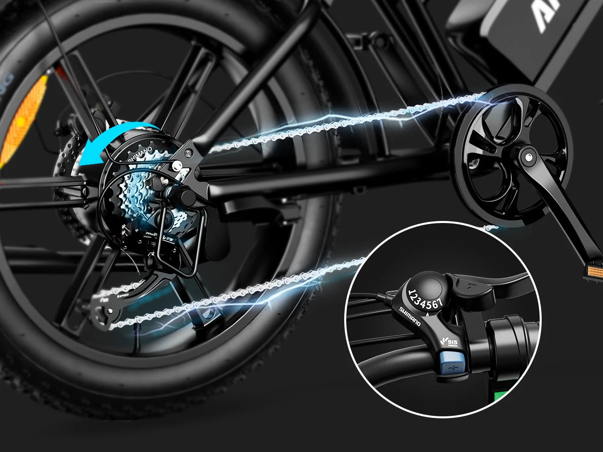 Electric Bike 1000W Motor Bicycle 48V 20AH 20 Inch Tire Mountain Moped