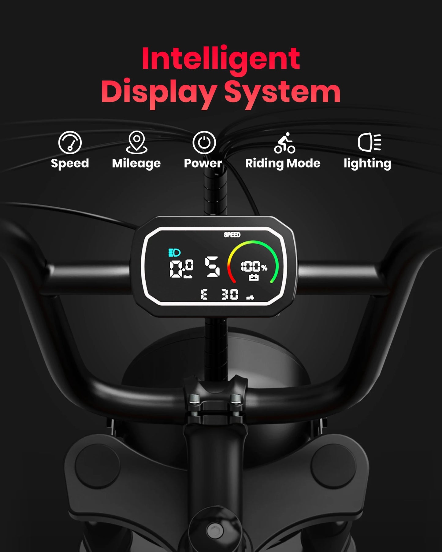 Electric Bike 1000W Motor Bicycle 48V 20AH 20 Inch Tire Mountain Moped