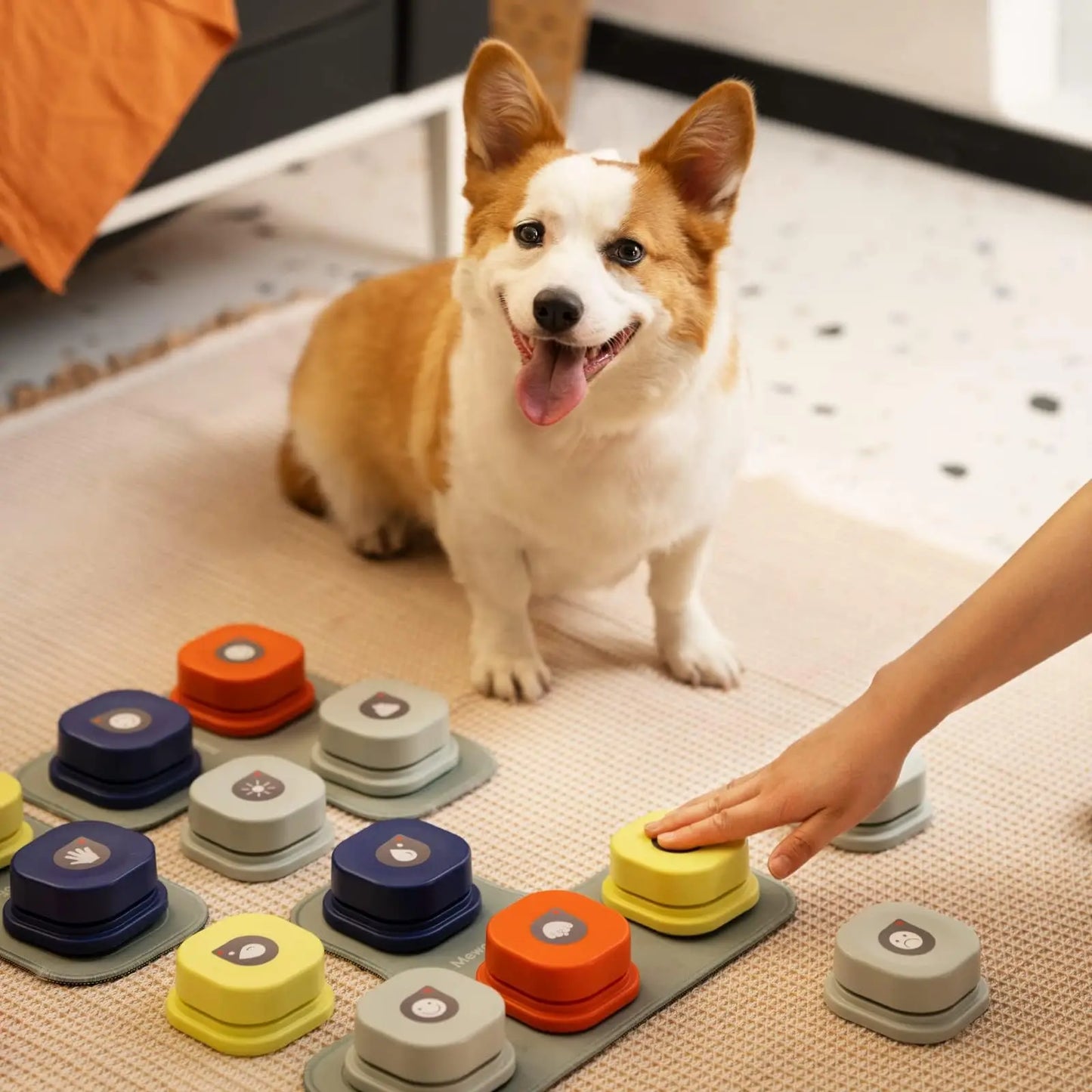 Dog Button Record Talking Pet Communication Vocal Training Interactive