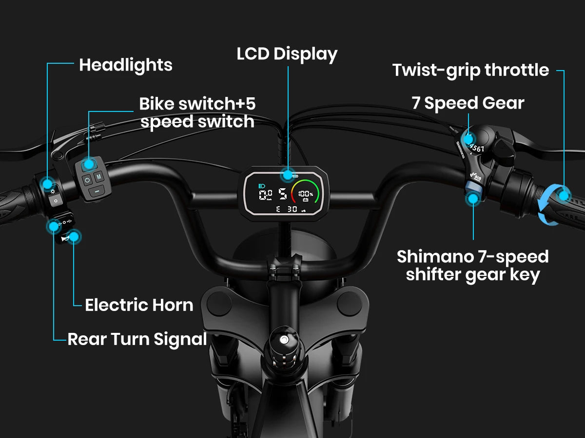 Electric Bike 1000W Motor Bicycle 48V 20AH 20 Inch Tire Mountain Moped
