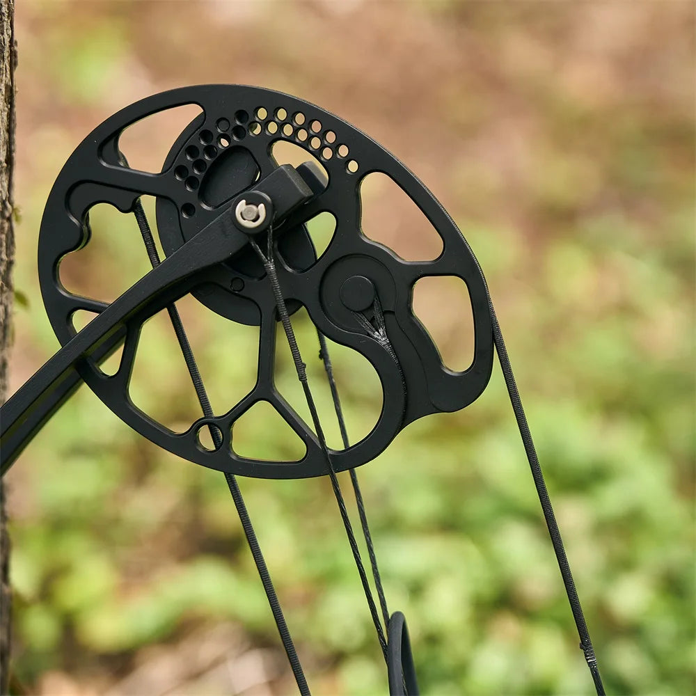 Compound Bow Archery Sets 19-70lbs Draw Weight Adjustable Shooting Right Hand