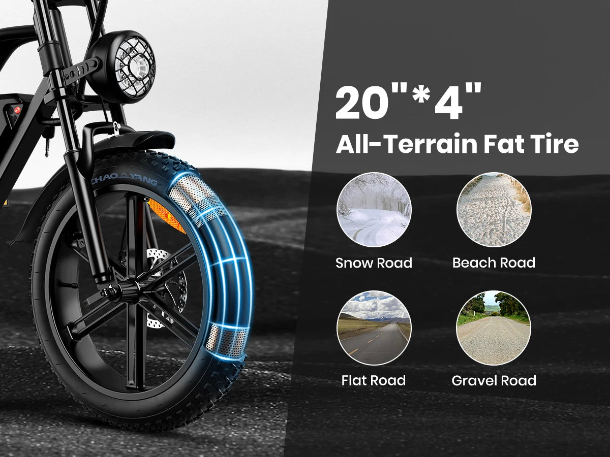 Electric Bike 1000W Motor Bicycle 48V 20AH 20 Inch Tire Mountain Moped