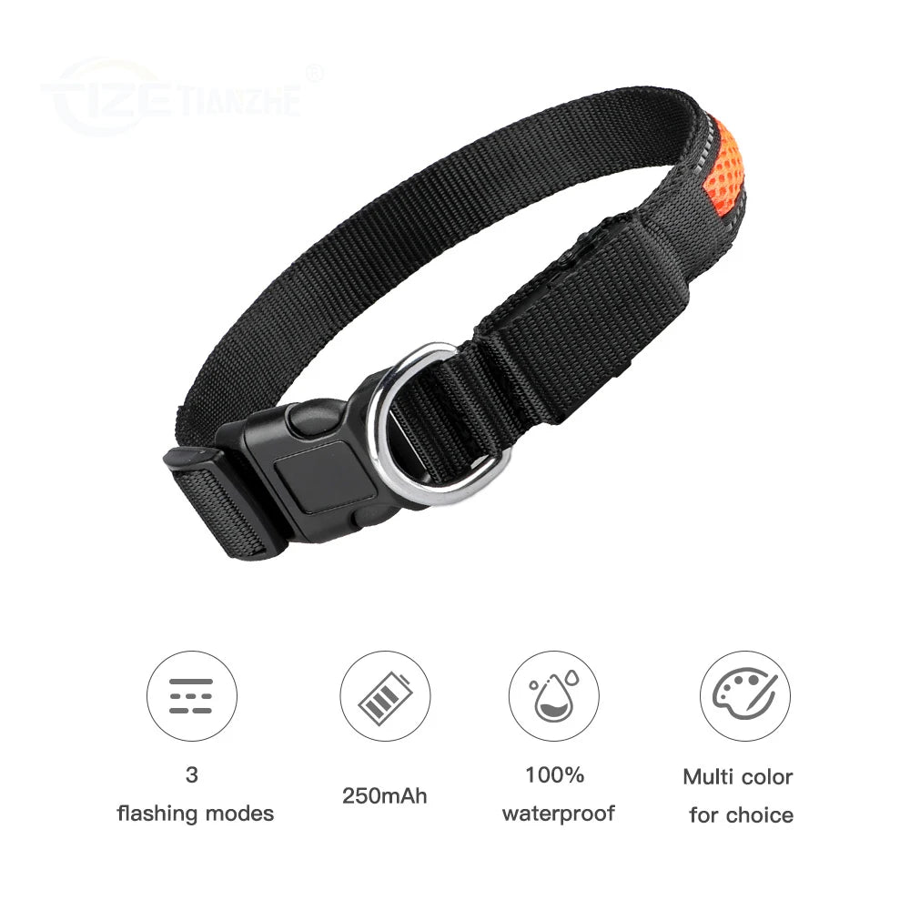 Nylon Dog Collar Flash Night Safety LED Glow Waterproof