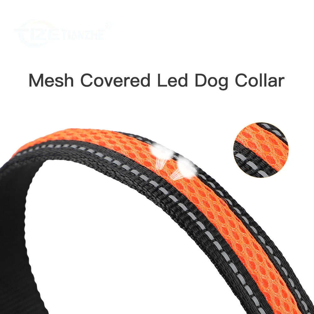 Nylon Dog Collar Flash Night Safety LED Glow Waterproof