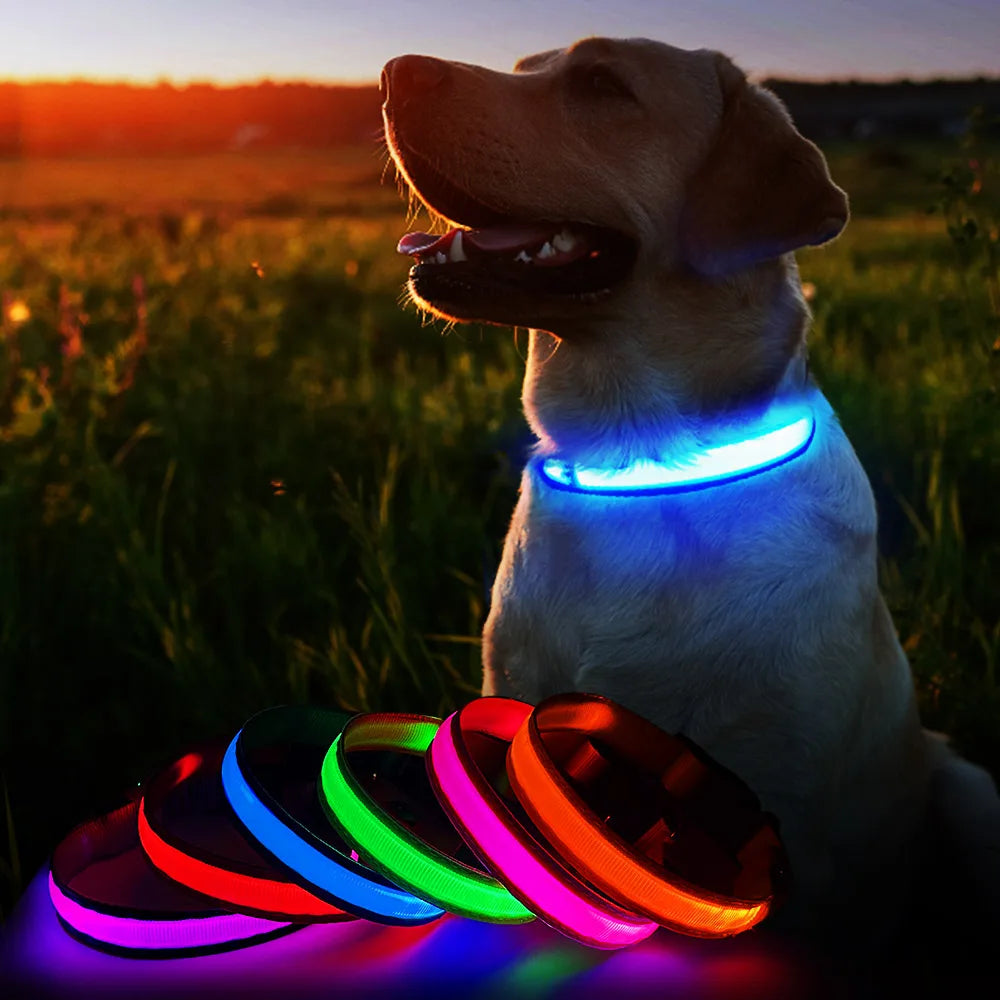 Dog Collar Luminous Waterproof Safety